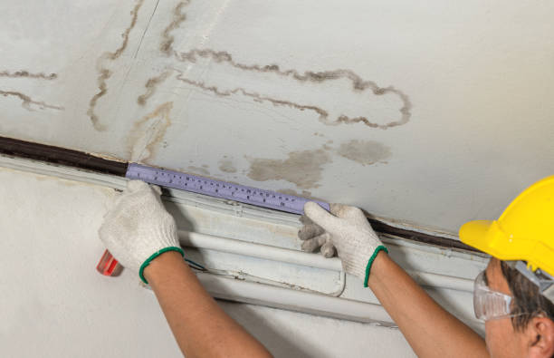 Reliable Structural Drying contractor in Scotch Plains, NJ by Water Damage Irwin